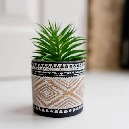 Cosy Charm Bonfim Appartement